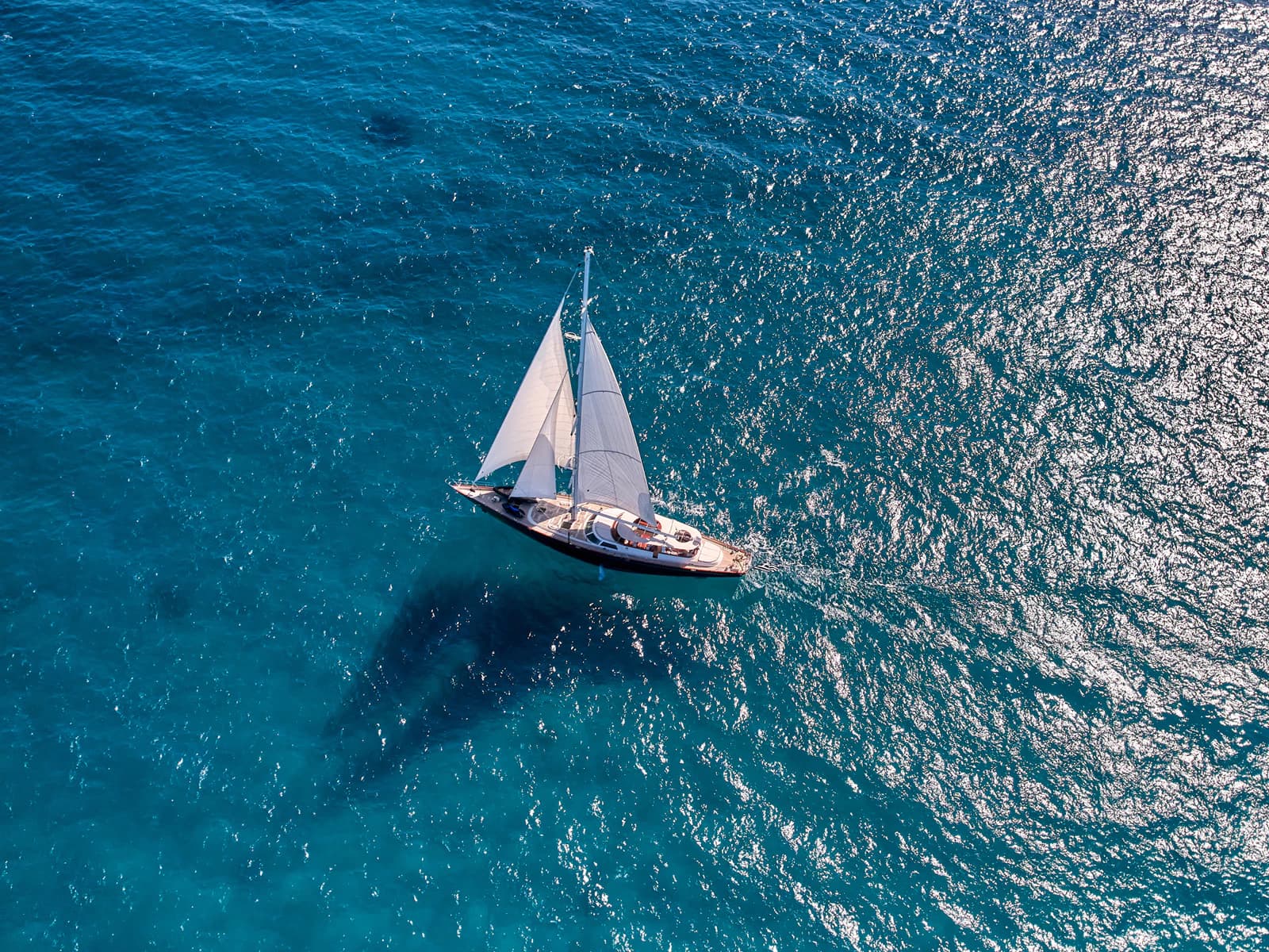 GITANA: A Journey with a Purpose aboard Sailing Icon