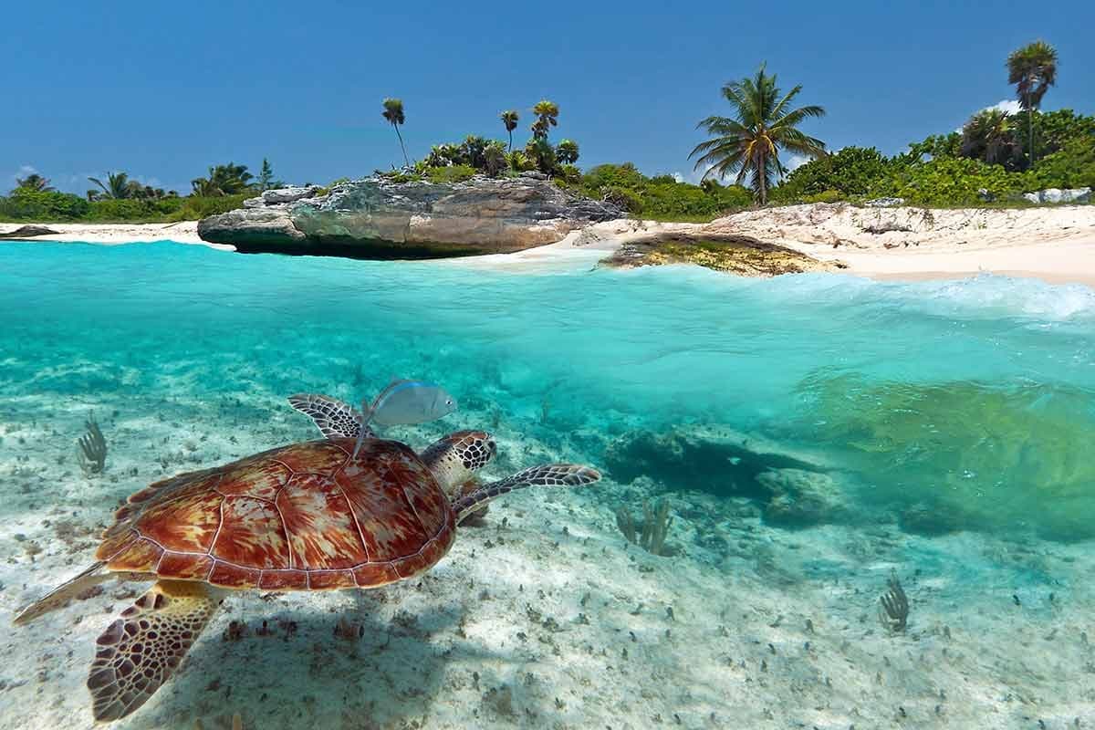Mexico luxury gulet charter — Caribbean sailing destination