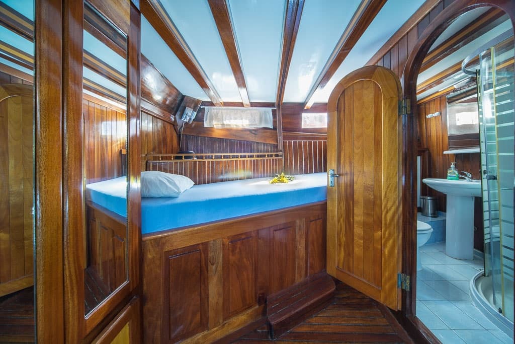 Atalanta cabin