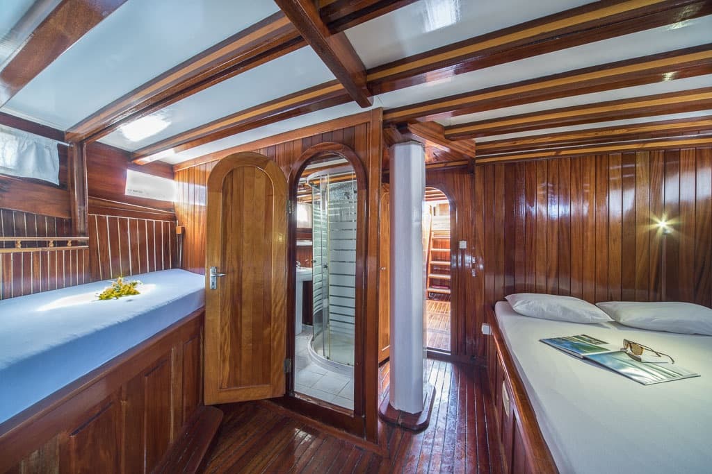 Atalanta interior