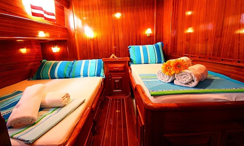Blue Cruise interior