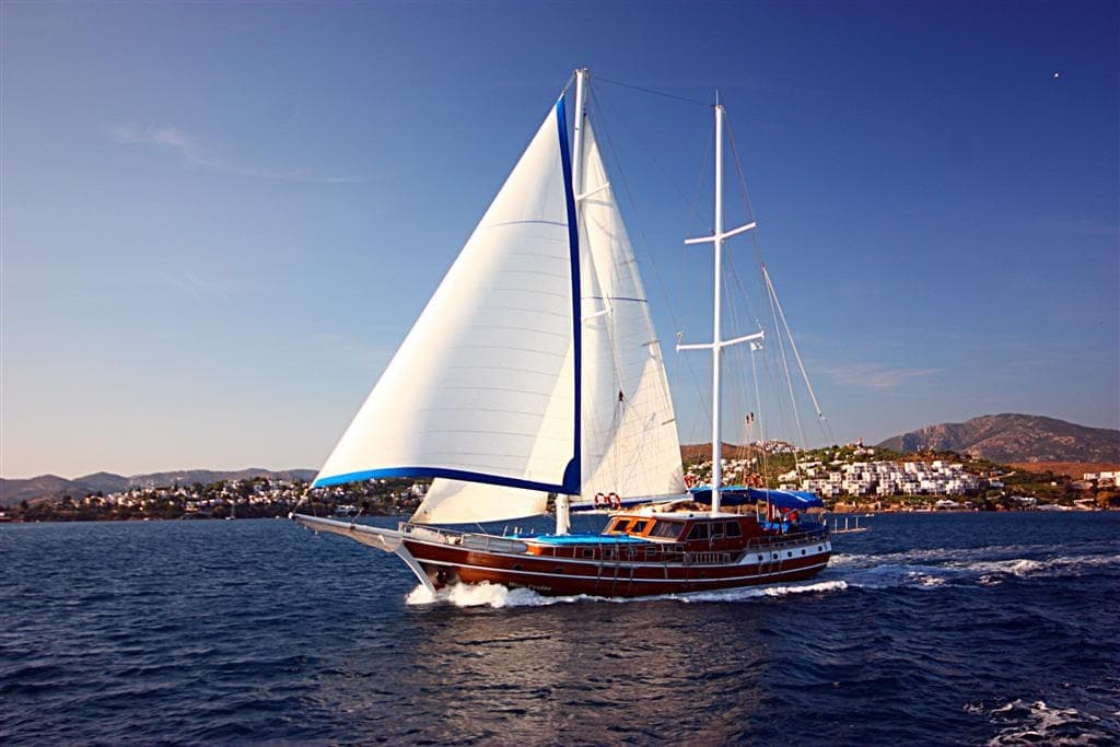 Blue Cruise exterior