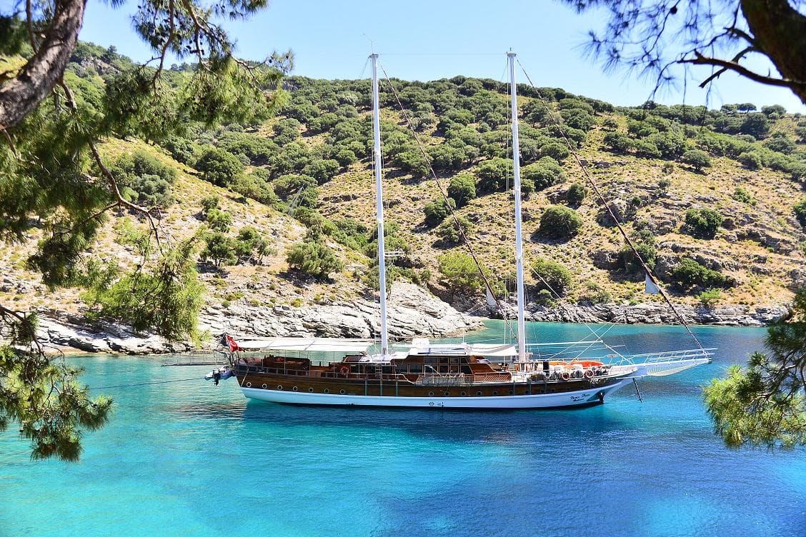 Deniz Felix Balina exterior