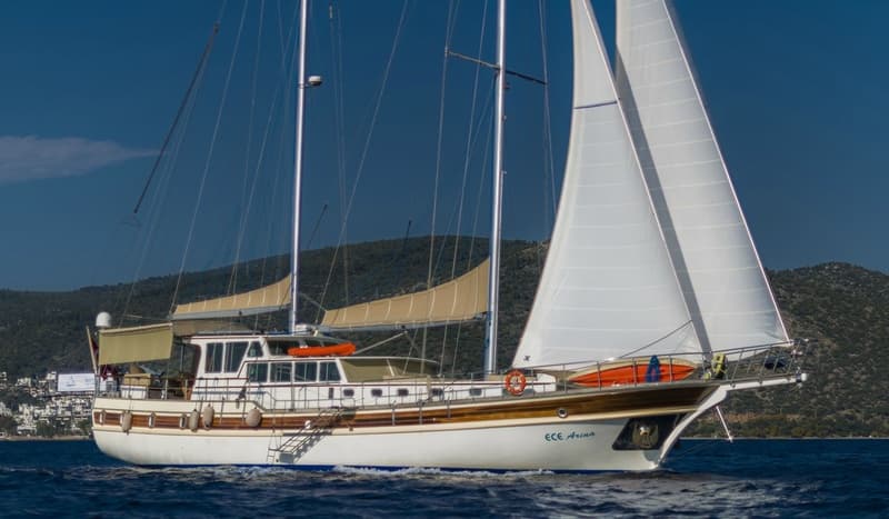 Ece Arina exterior