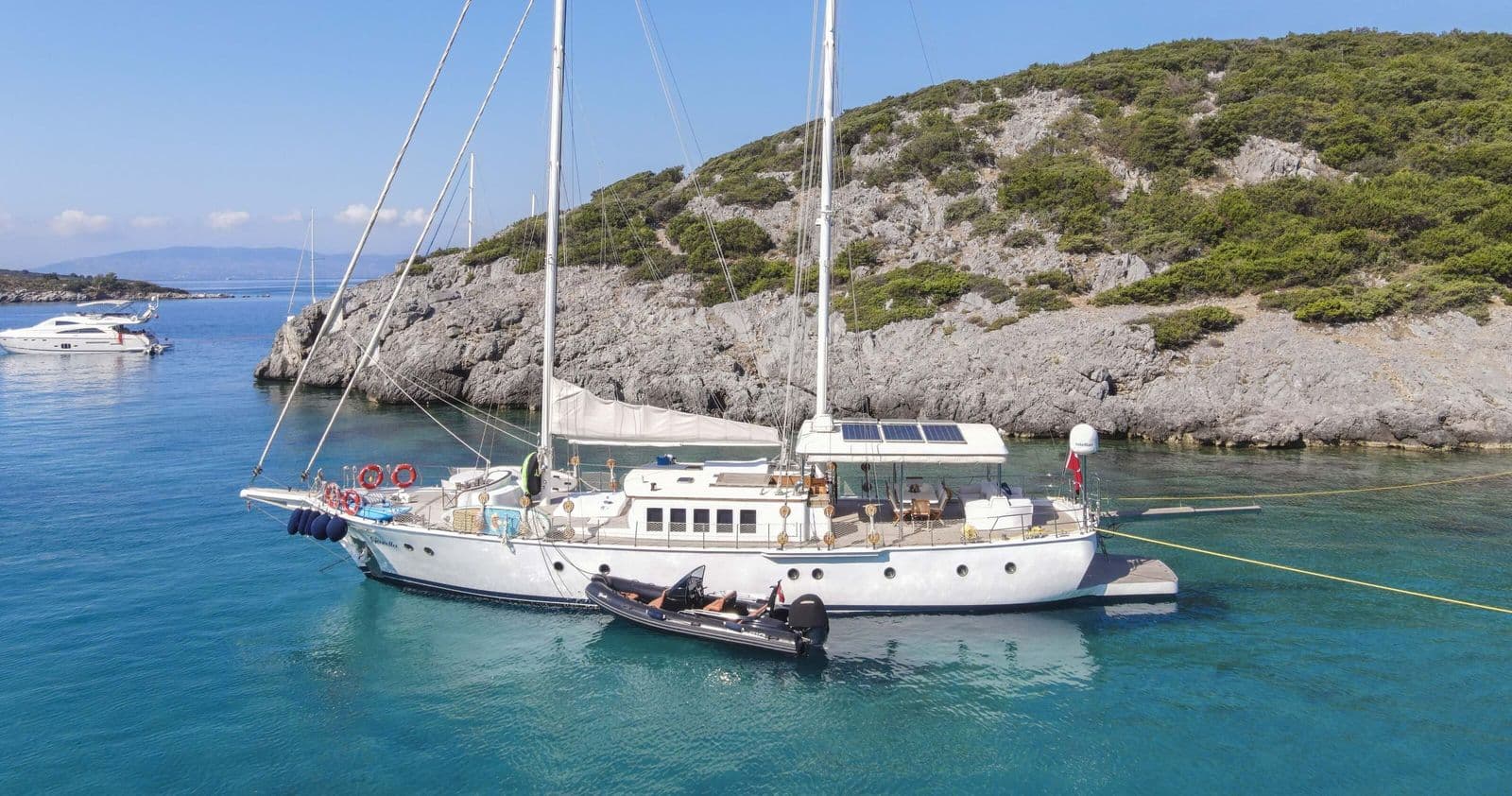 Gazella exterior