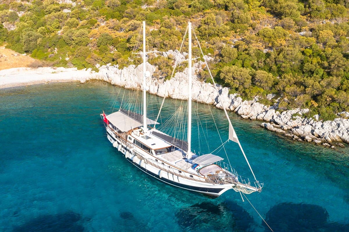 Grand Sailor exterior