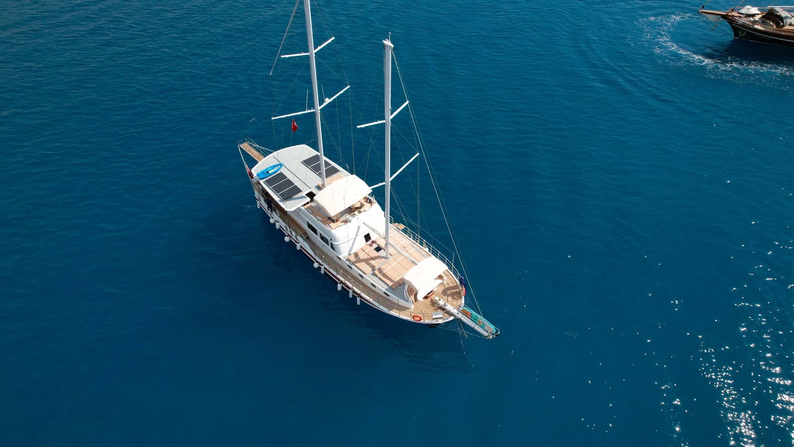 Lavinia exterior