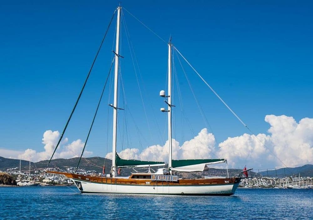 Moe ( Ex. A. Eser) exterior