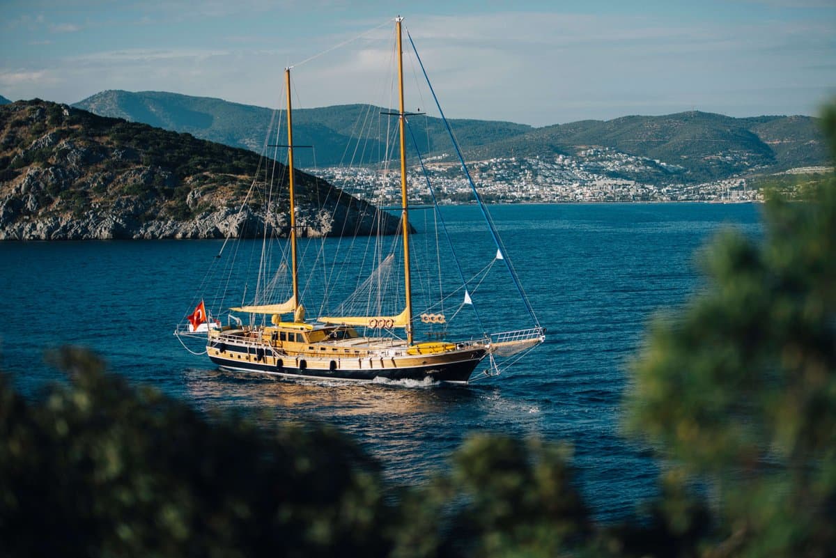 Ms Fortuna