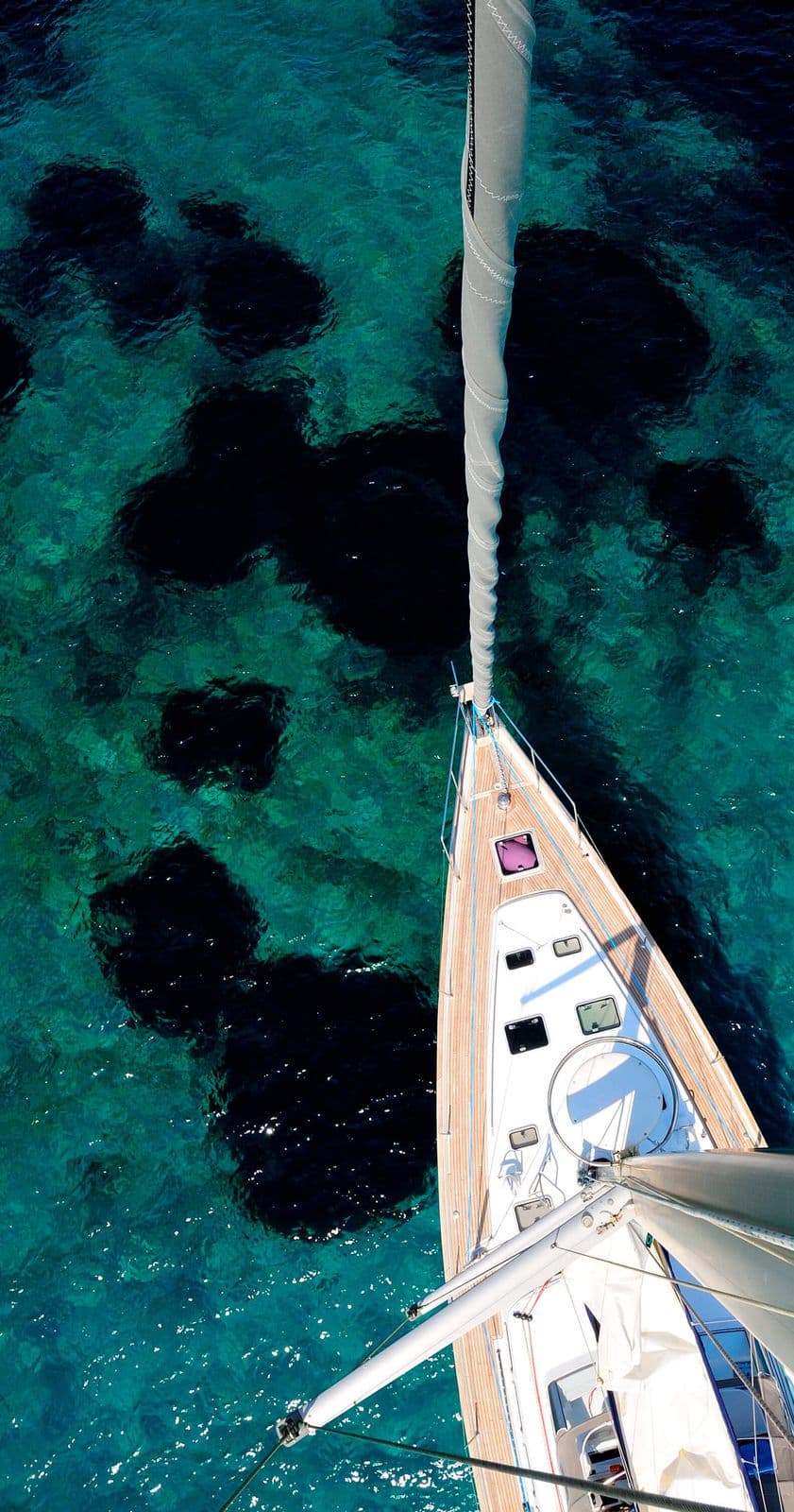 Sea Star interior