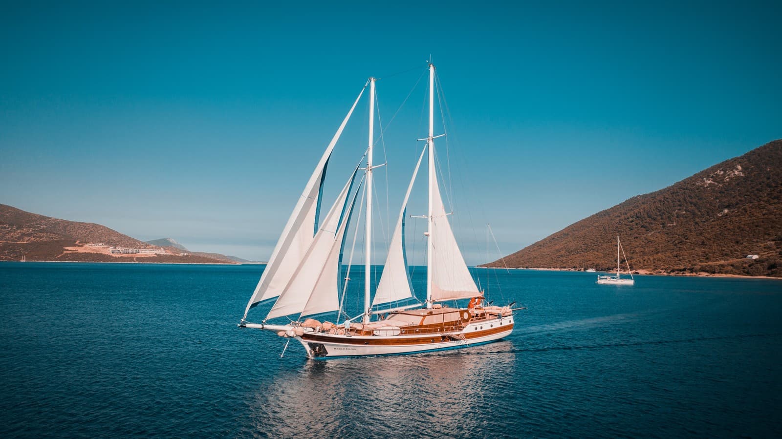 Wicked Felina exterior