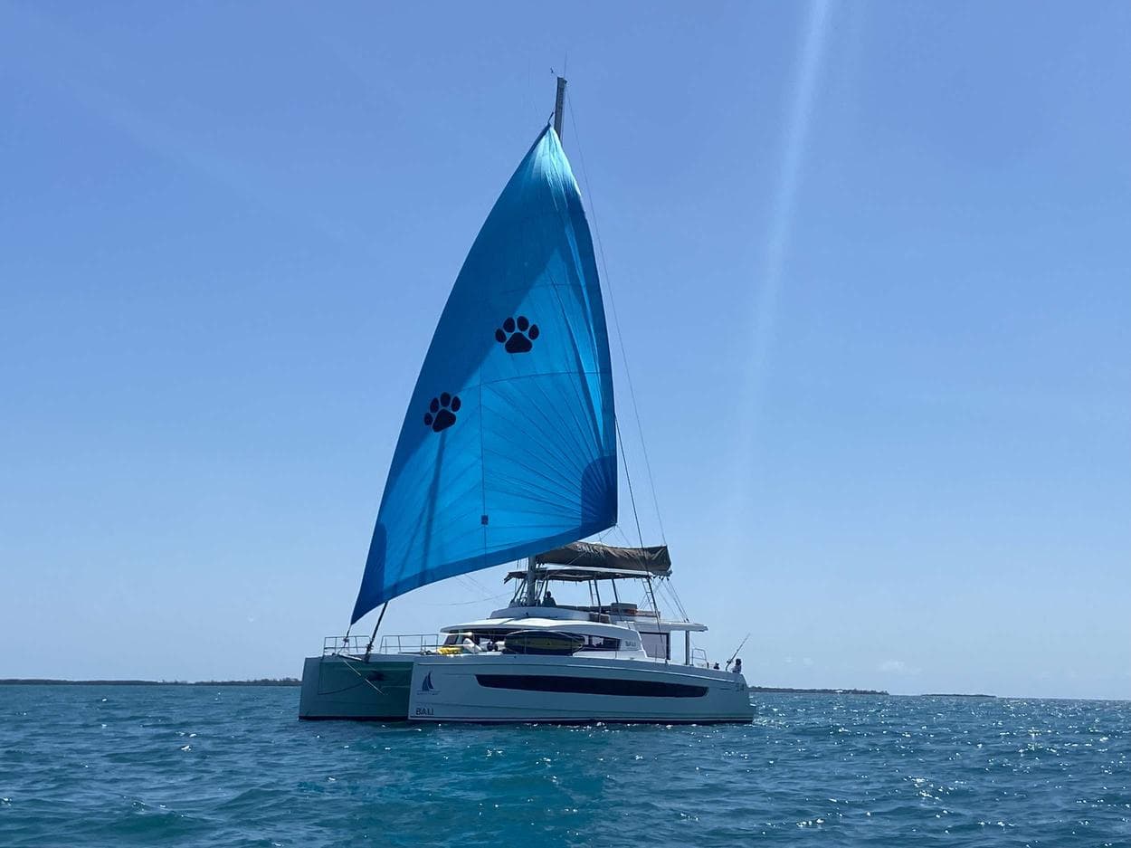 Nauti Dogs 5.4 exterior