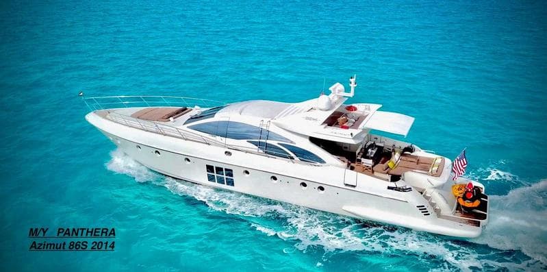 Panthera exterior