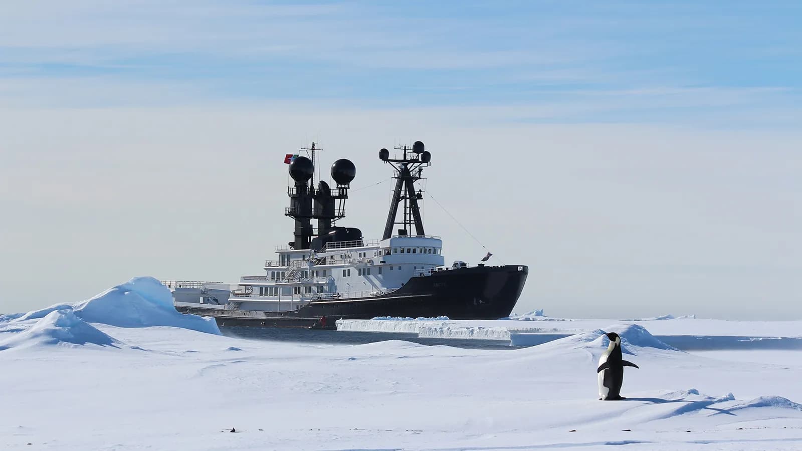 ARCTIC: An Adventure Starting This November!
