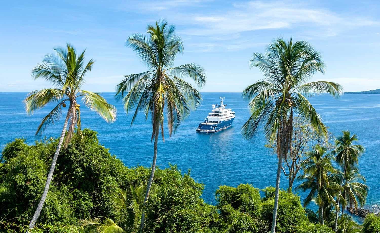 Octopus: French Polynesia, Patagonia & Antarctica