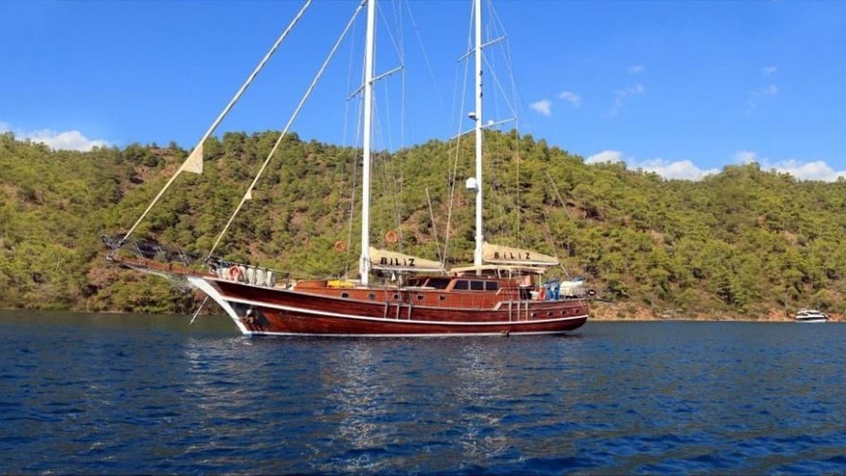 Biliz