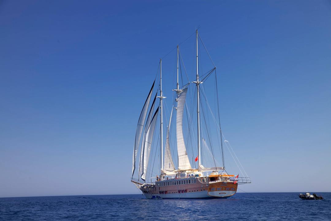 Impeccably Cared For: Grand Admiral's Pristine Beauty
