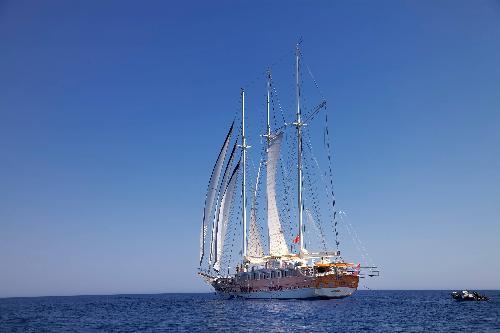 Impeccably Cared For: Grand Admiral's Pristine Beauty