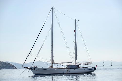 Captivating Beauty: Elegance and Allure Aboard