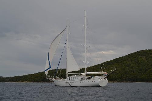 DVI Marije