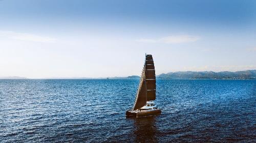 La Gatta