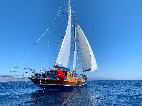 Kavanca