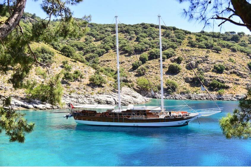 Discover Perfection Afloat
