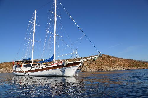 Maximize Your Experience: Explore the Seas at Your Own Pace