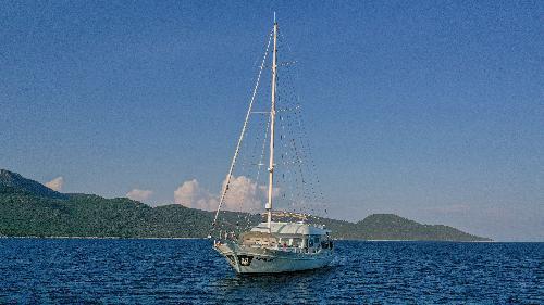 Newly Refitted Elegance