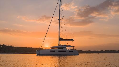 NAUTI CAT