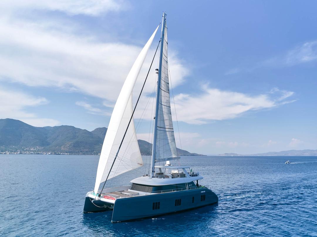 Sophisticated sailing catamaran